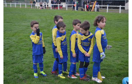 U6-U7